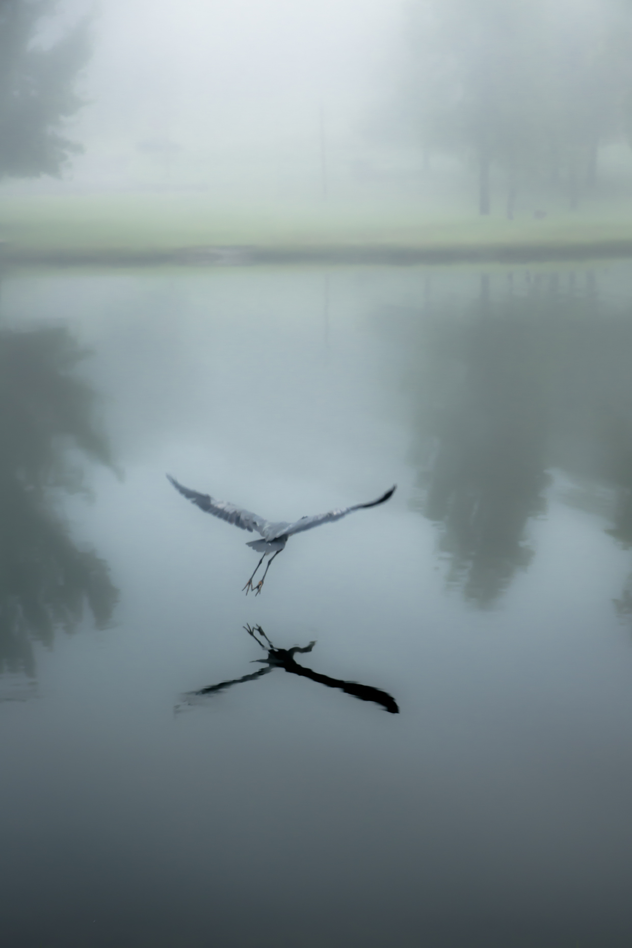 Flight.jpg