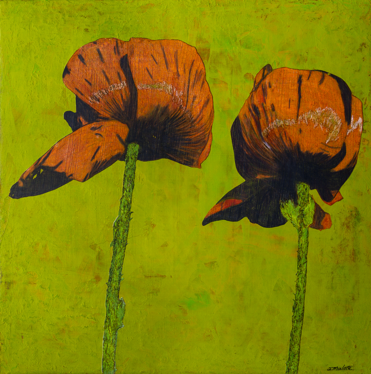 Poppies On Green
