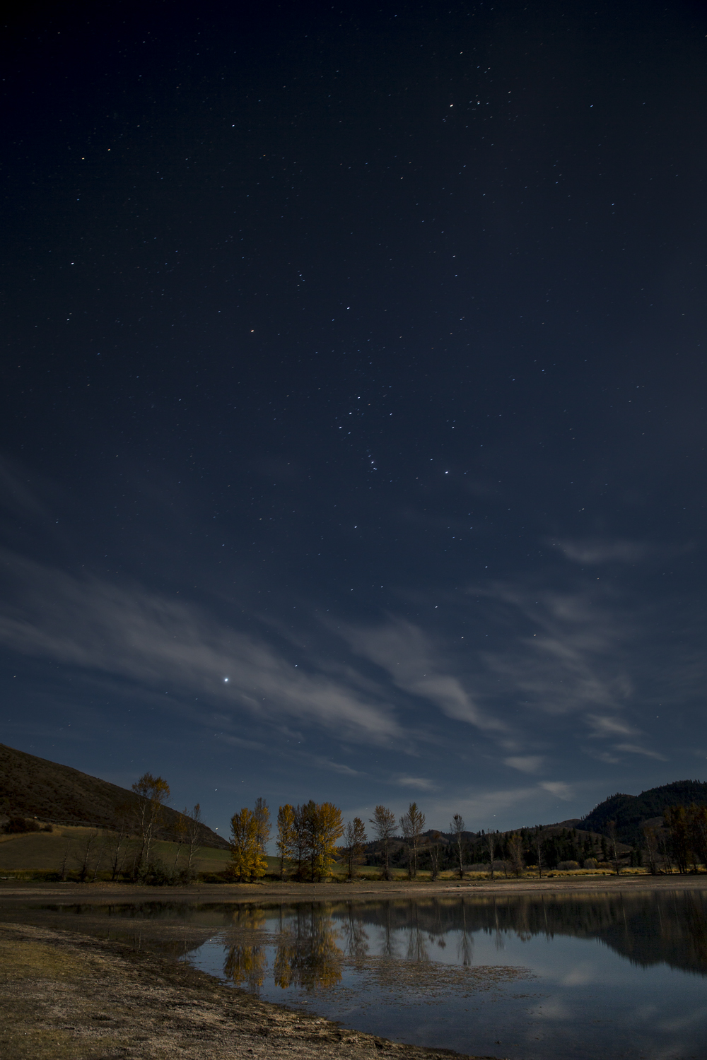 Woods at Full Moon-8.jpg